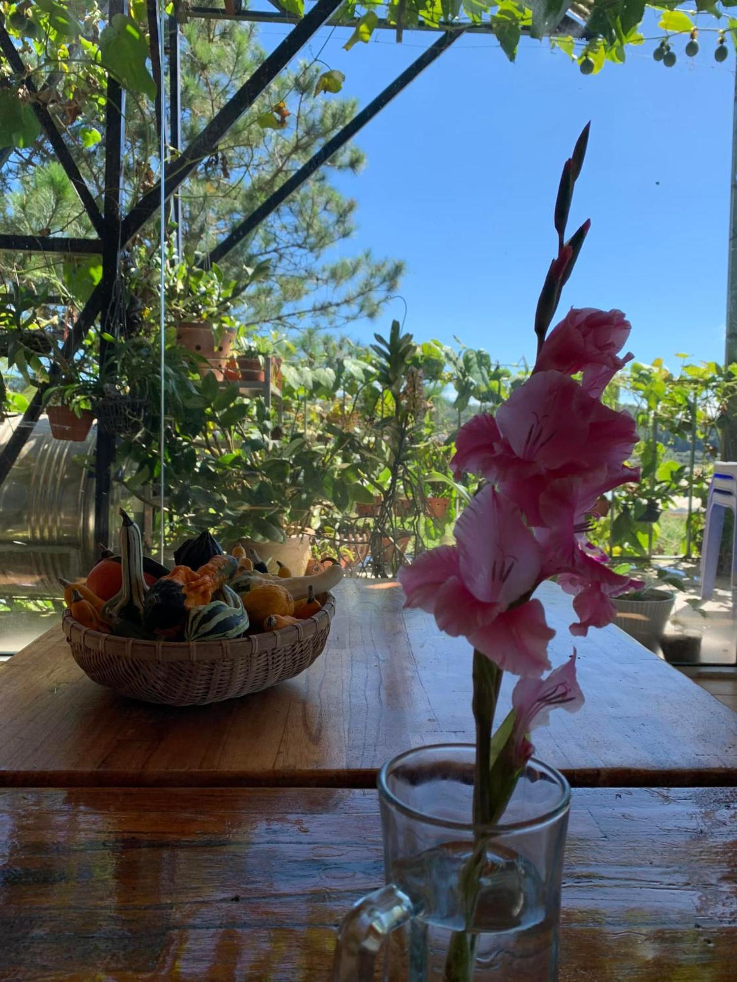 Bed and Breakfast Vuon Cua Me Dalat Exteriér fotografie
